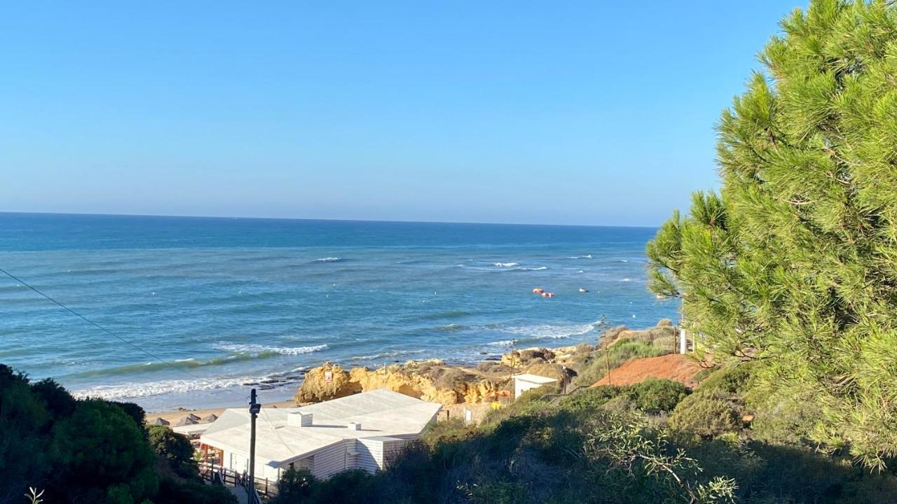 Apartamento Bicos S By Check-in Portugal